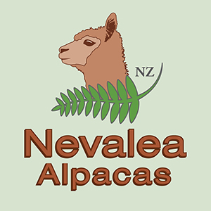 Travel templates flybuys logo nevaleaalpacas