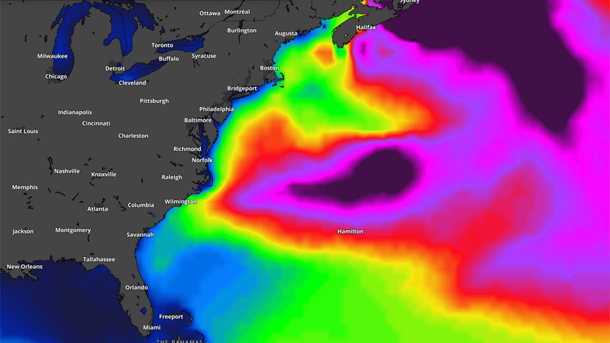 Tracking Tropics: Peak Season Sees Crickets Around the Atlantic