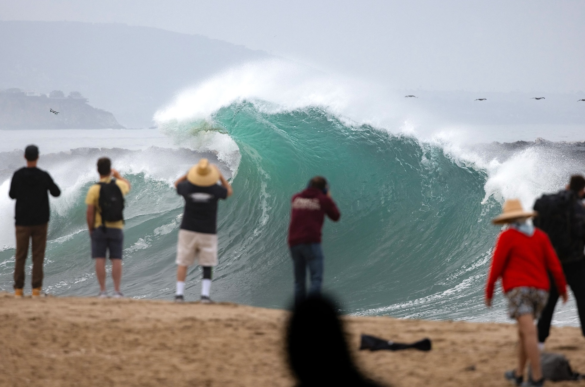 Dissecting the Dream: California's Magical Summer Start