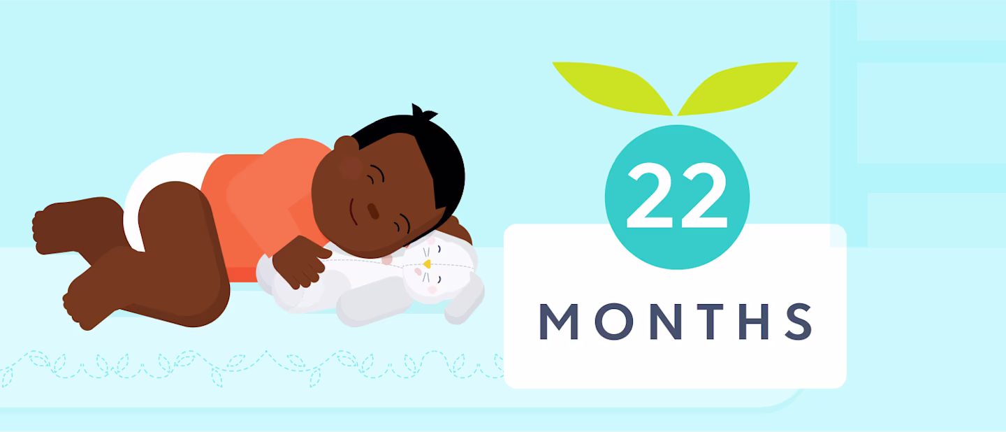 22 month old sleep schedule | Huckleberry