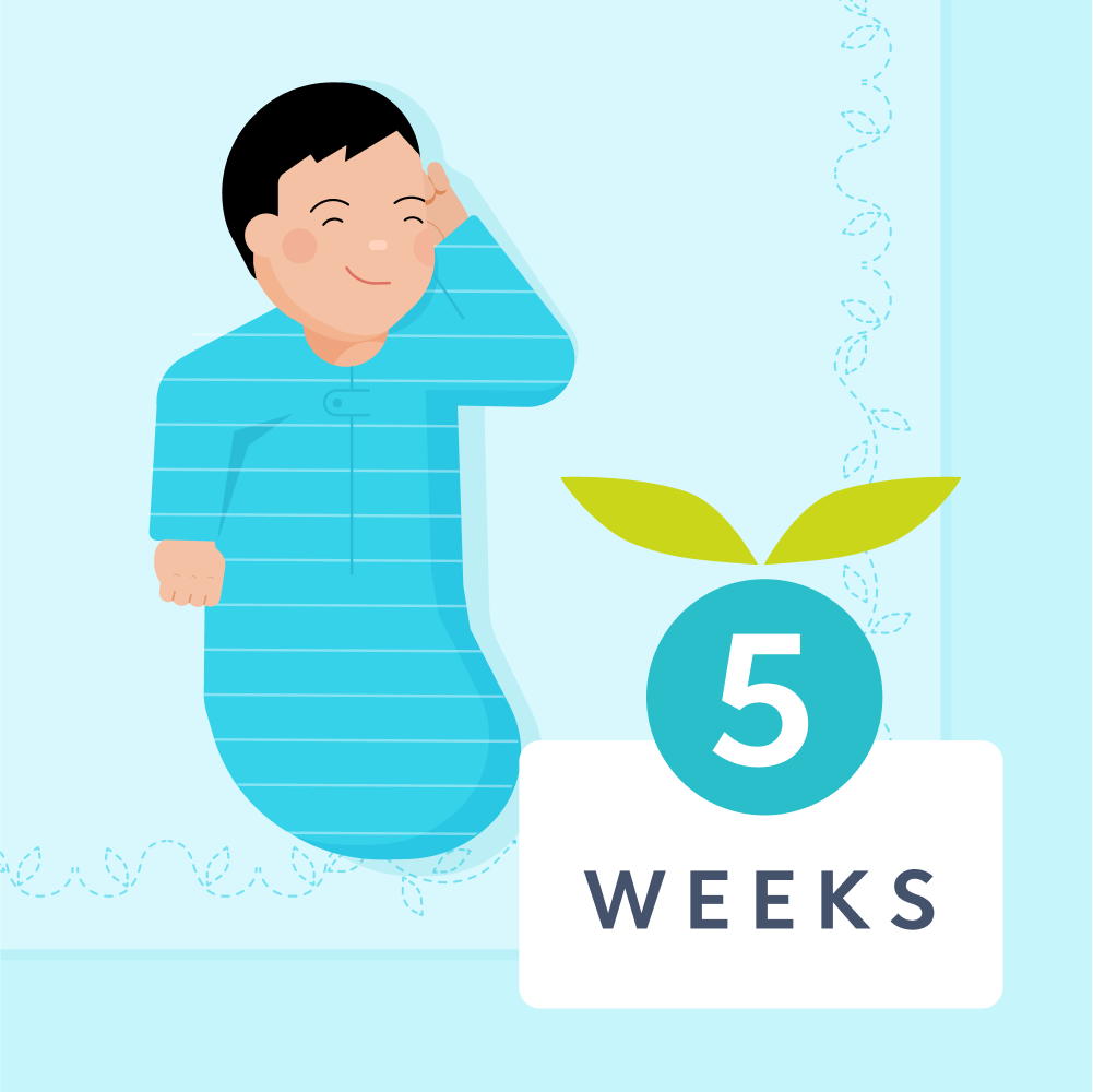 5 week sleep
