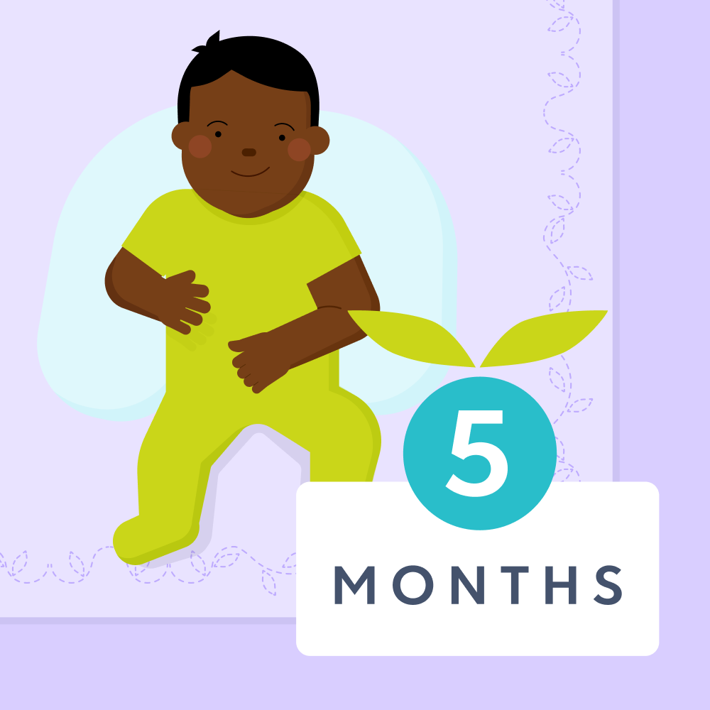 5 month old baby milestones illustrated image