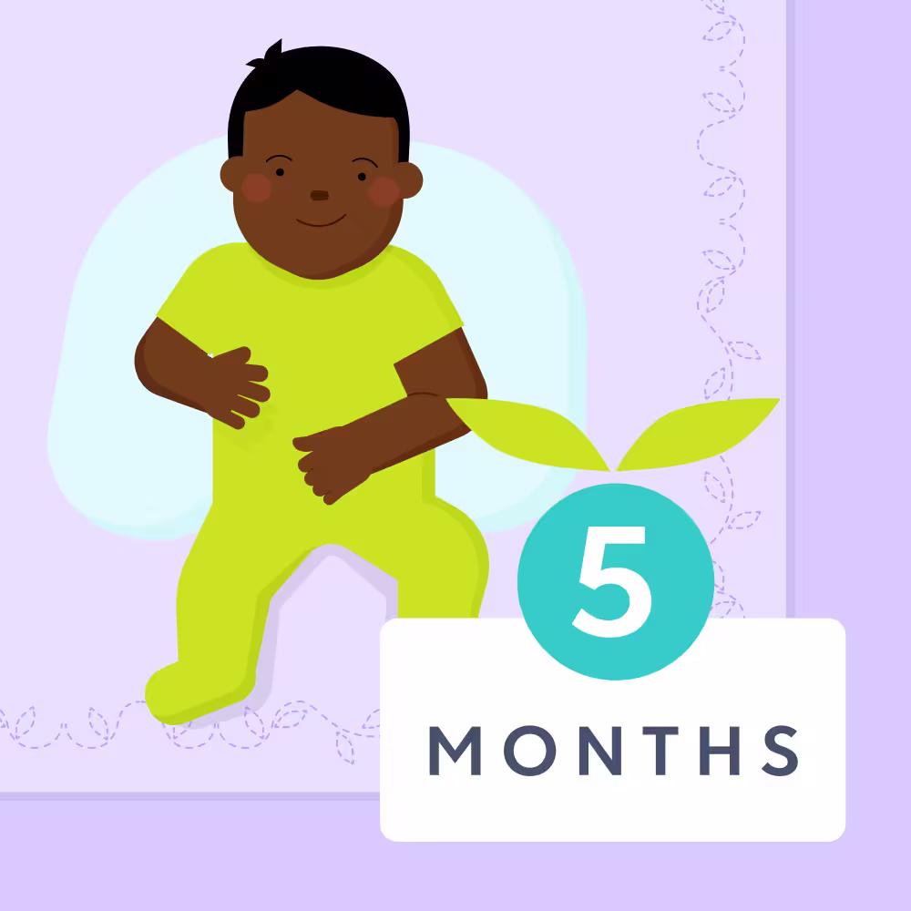 5 month old baby milestones illustrated image