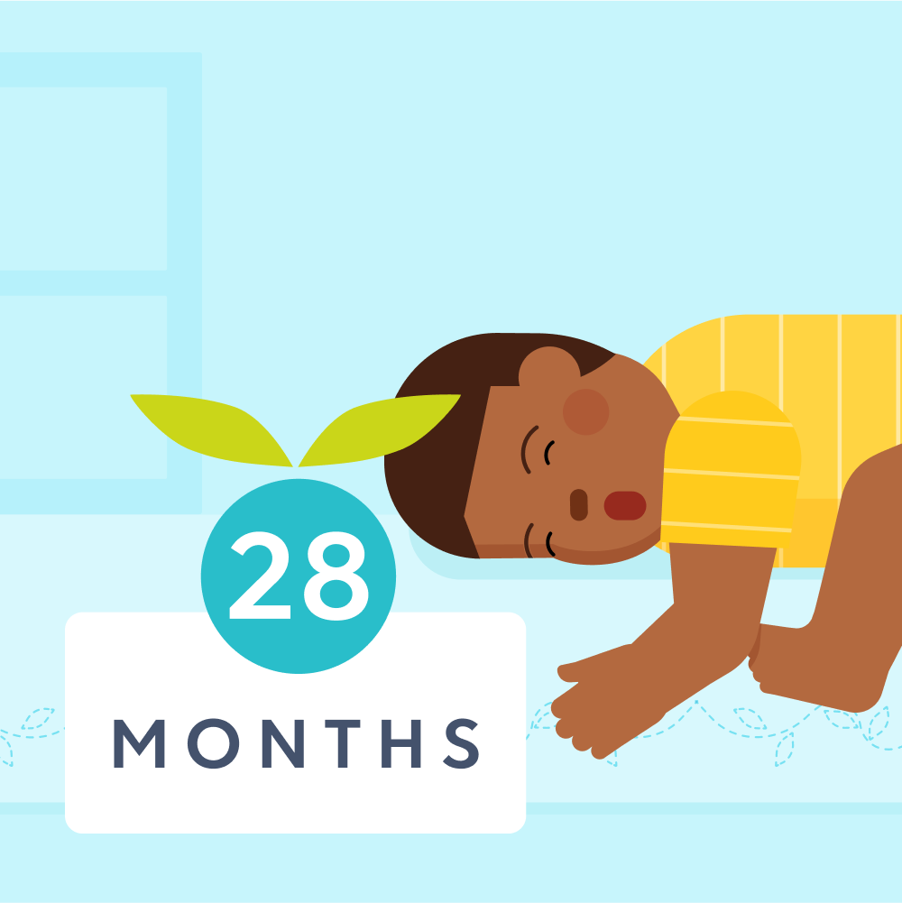 28 month sleep