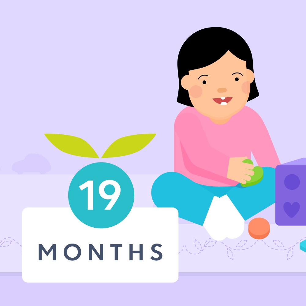 19 month milestones illustrated image
