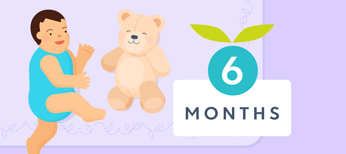 6 month baby milestones illustrated image | Huckleberry