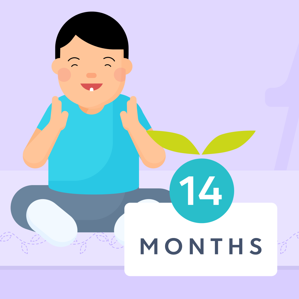14 month milestones illustrated image