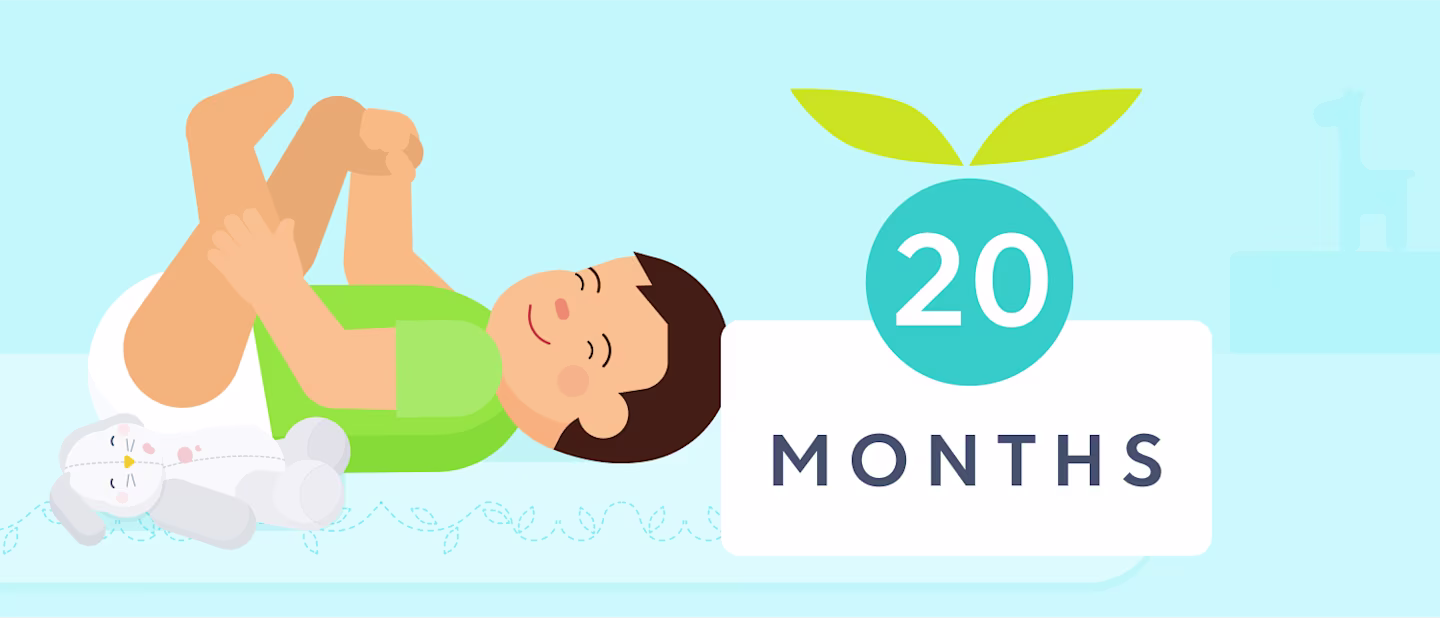 20 month old sleep schedule | Huckleberry