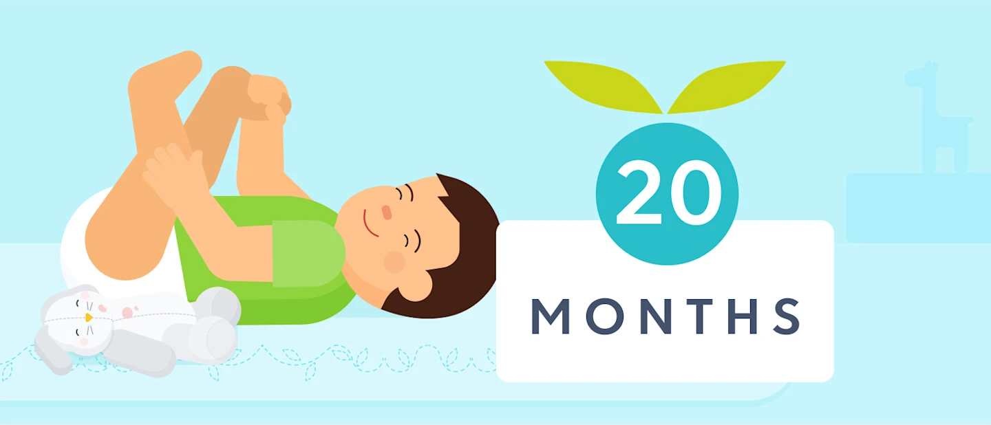 20 month old sleep schedule | Huckleberry