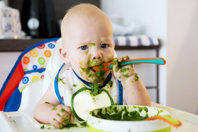 Homemade Baby Food Guide - Family Food on the Table