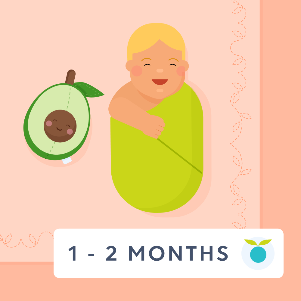 1  - 2 month feeding schedule illustration