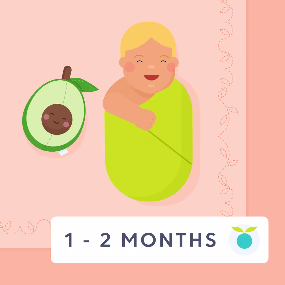 1 - 2 month feeding schedule illustration