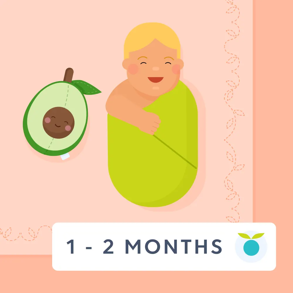 1 - 2 month feeding schedule illustration