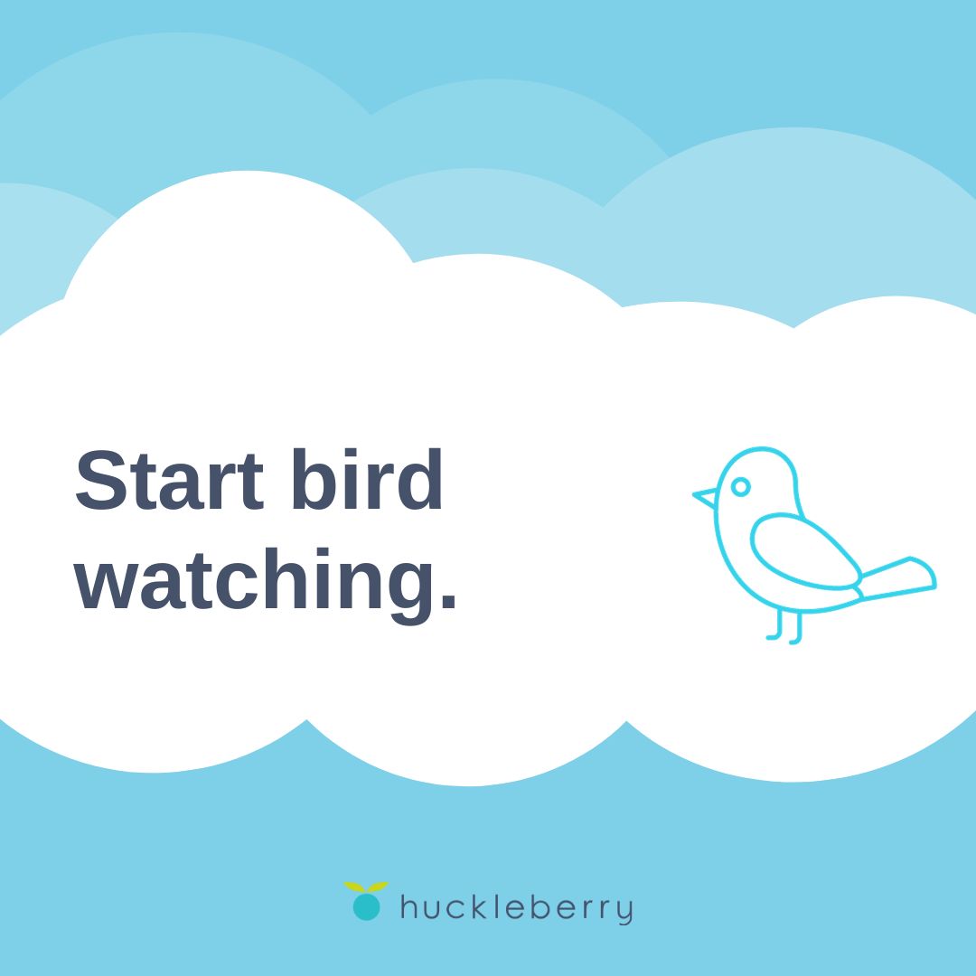 A graphic that says, Start bird watching.
