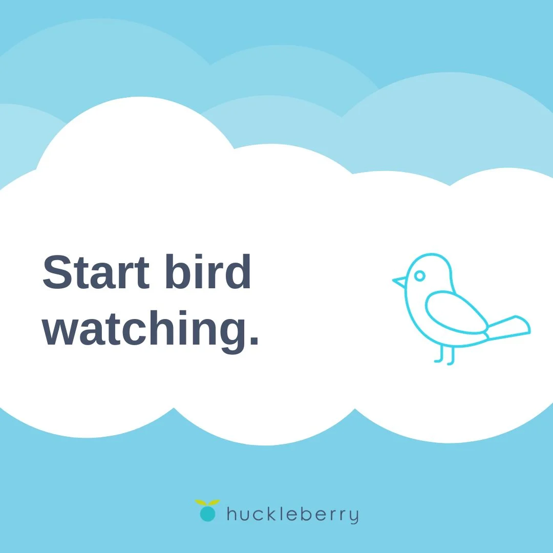 A graphic that says, Start bird watching.