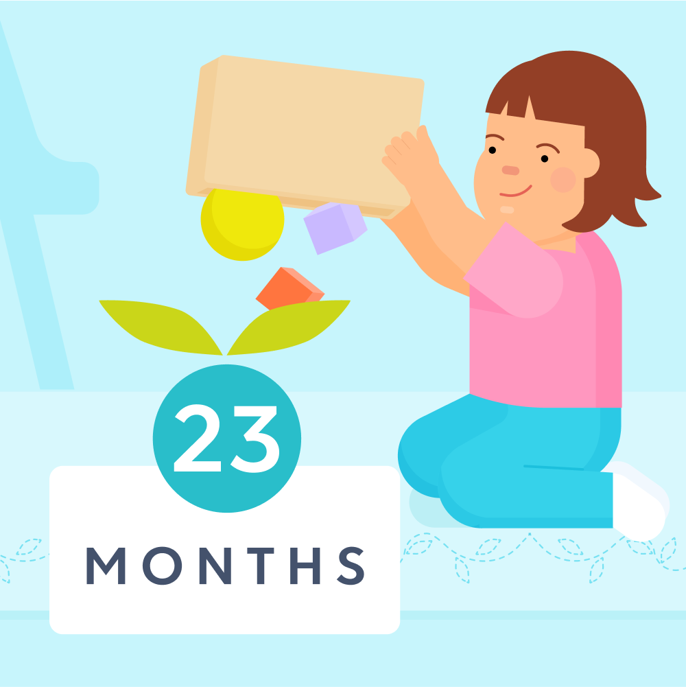 23 month sleep schedule