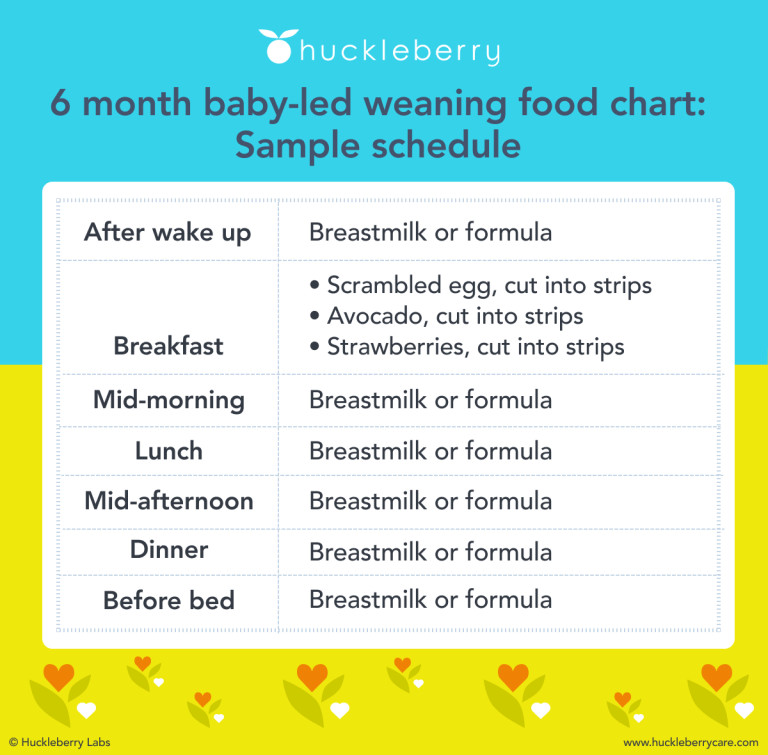 Baby Feeding Schedules - 6 to 24 Months - Solid Starts
