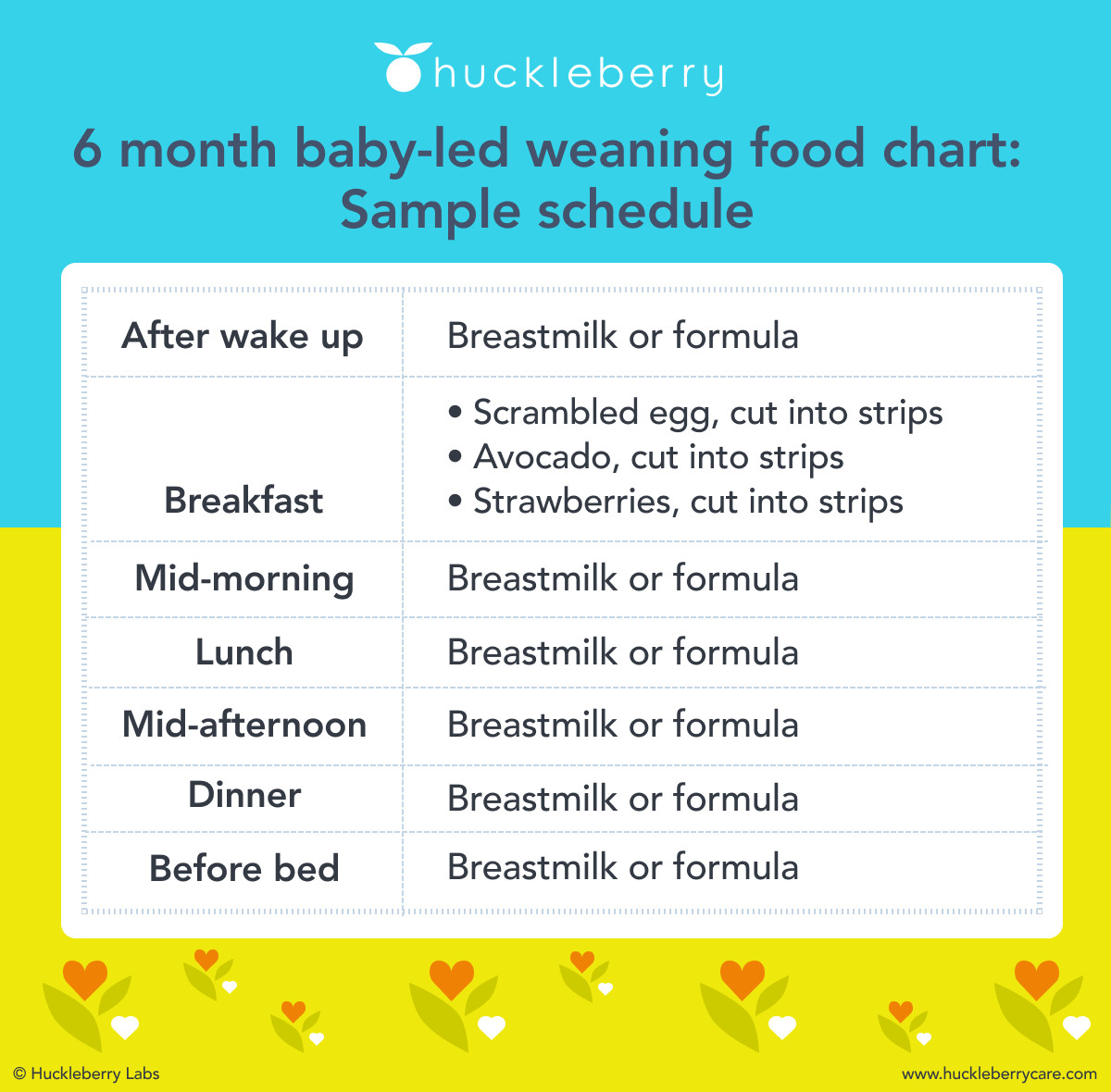 6 month baby led weaning food chart feeding schedule