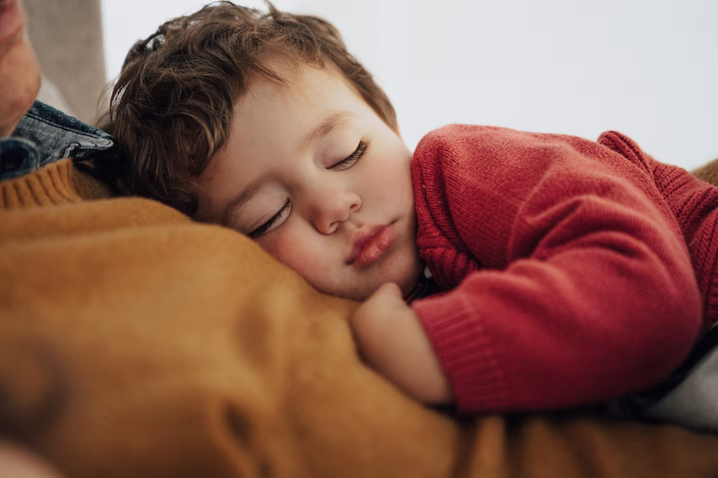 24 month 2 year old sleep schedule 