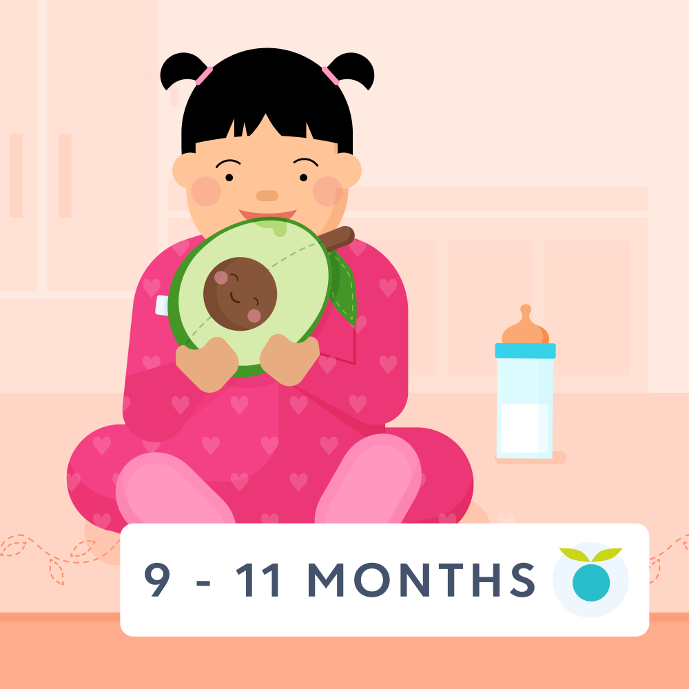 9 - 11 month old baby feeding sch