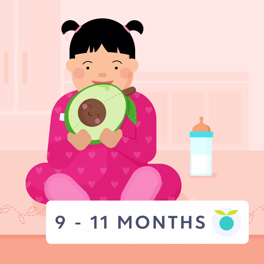 9 - 11 month old baby feeding sch