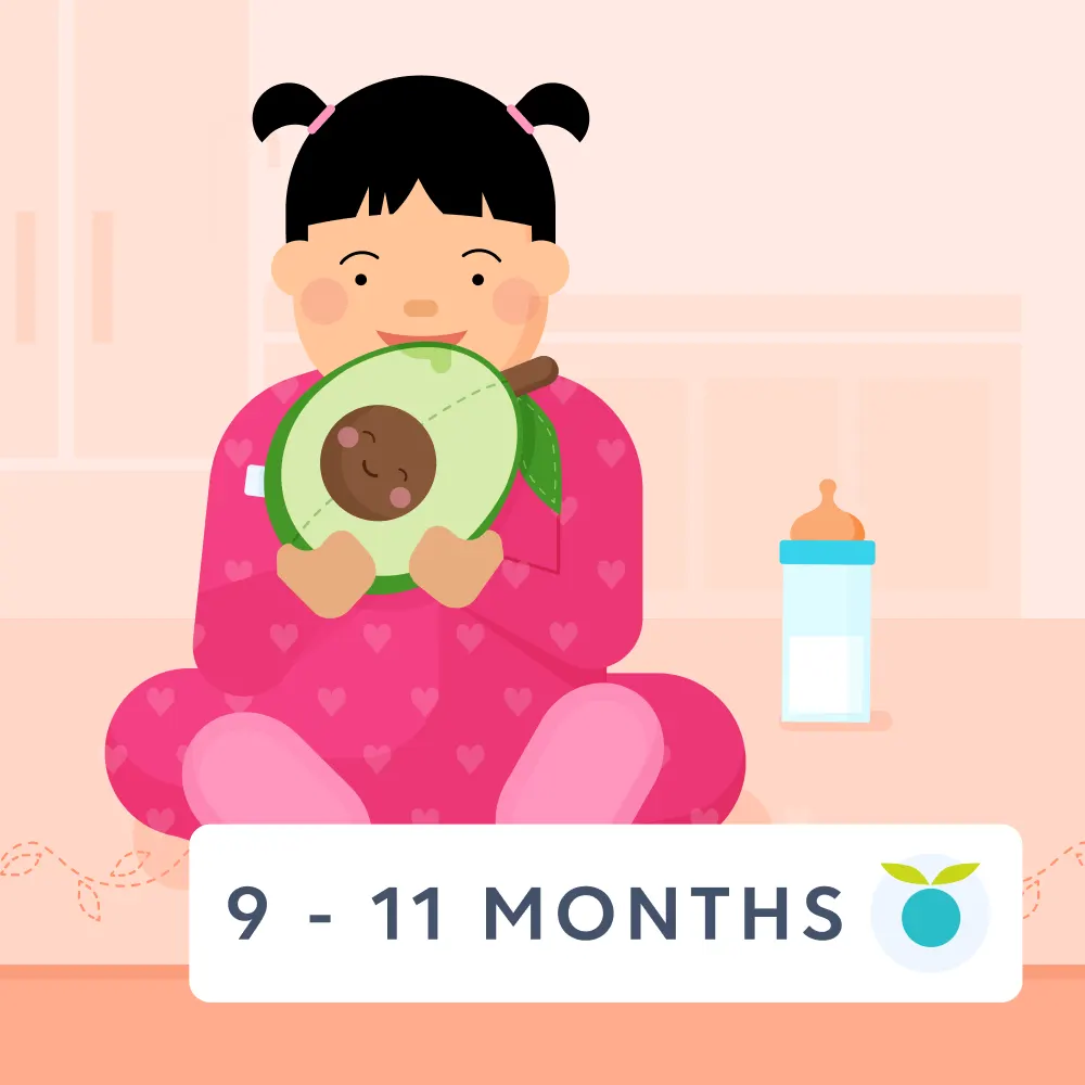 9 - 11 month old baby feeding sch