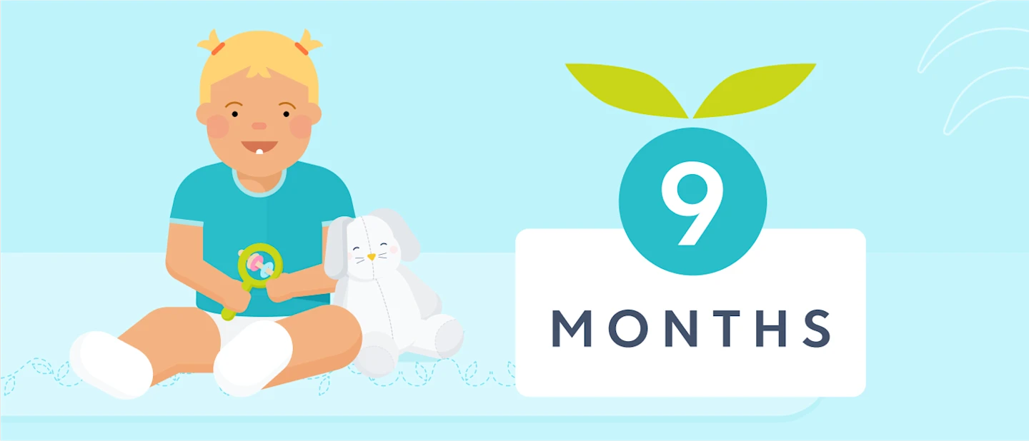 9 month sleep | Huckleberry