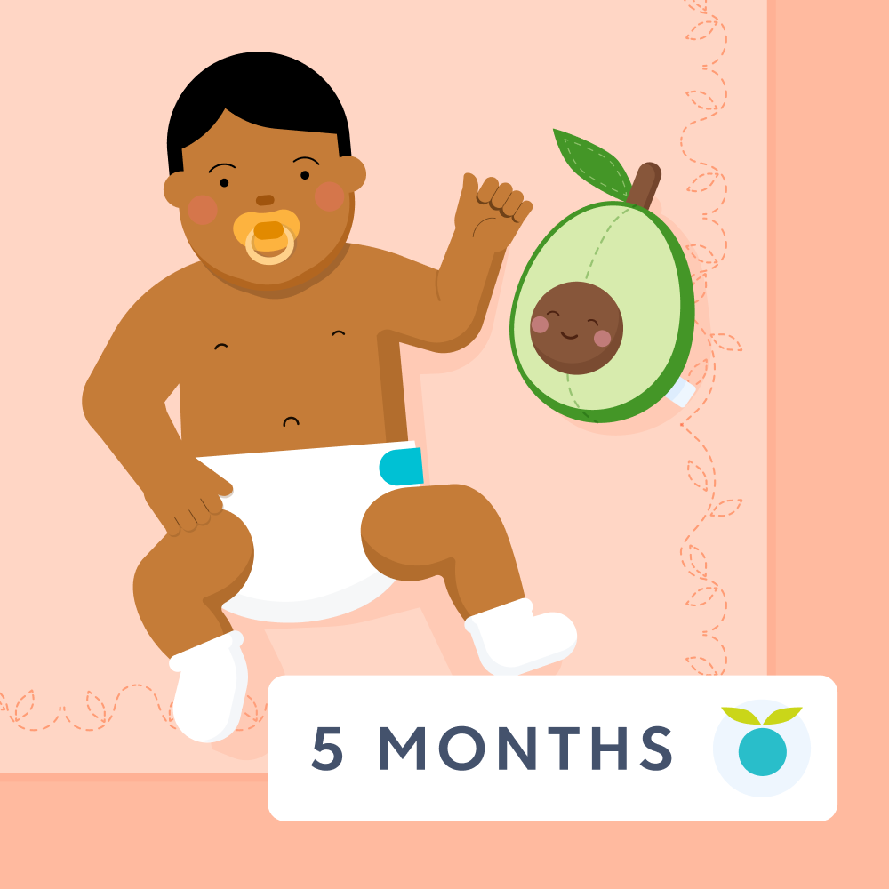5 month feeding schedule