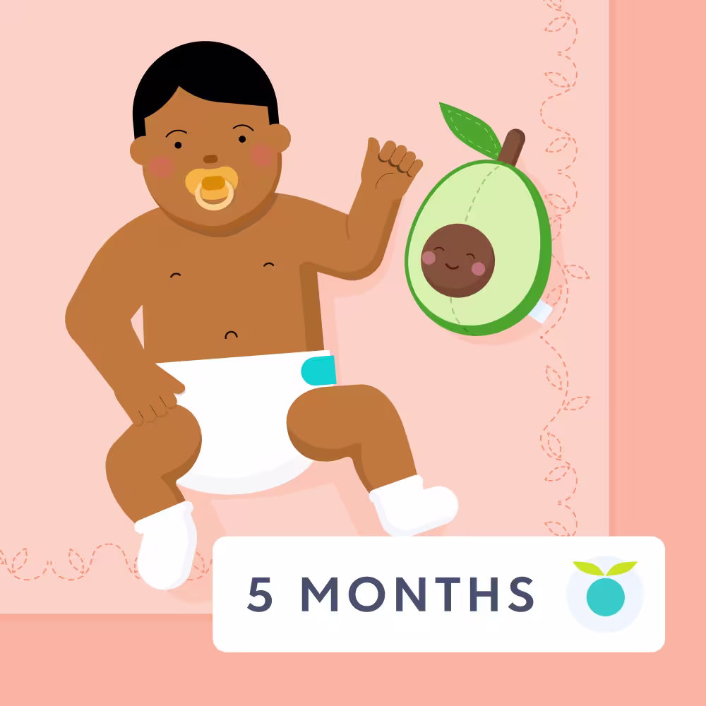 5 month feeding schedule