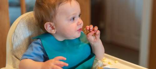 Infant and Toddler Feeding from Birth to 23 Months: Making Every Bite Count  – Food Insight