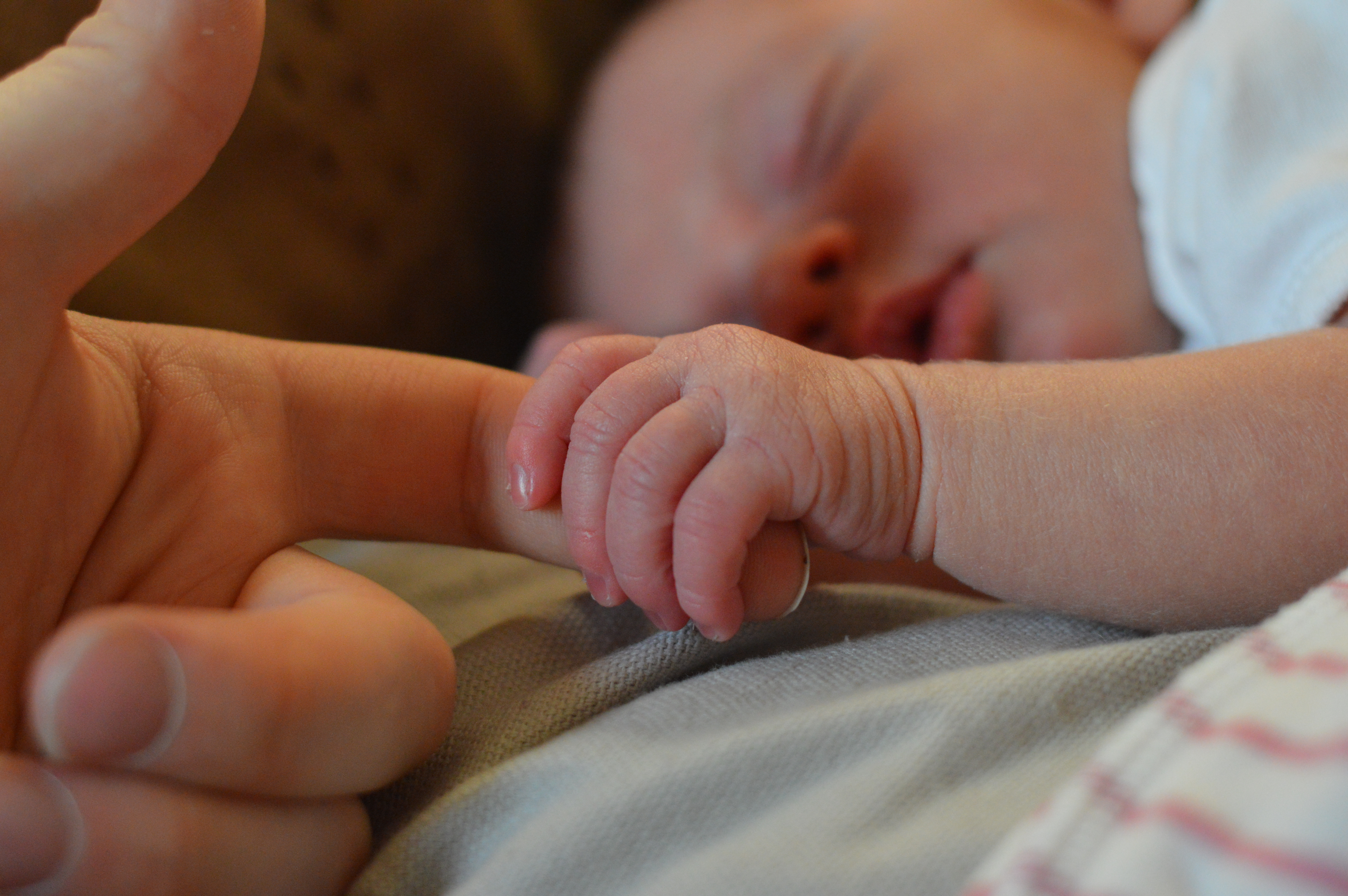 Newborn Baby Holding Parent's Hand
