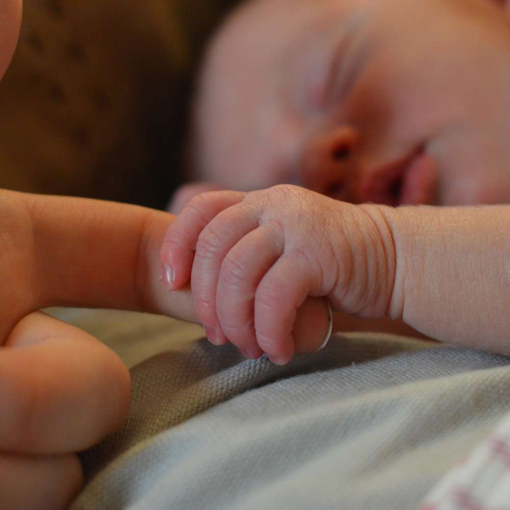 Newborn Baby Holding Parents Hand