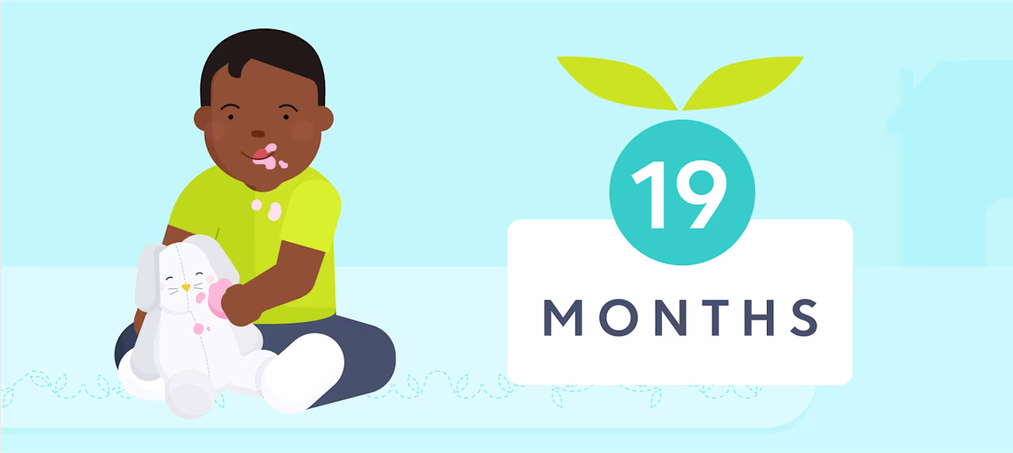 19 month old sleep schedule | Huckleberry