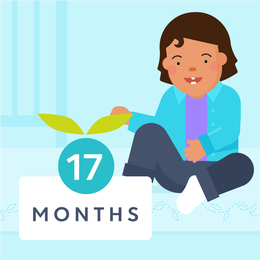 17 month sleep