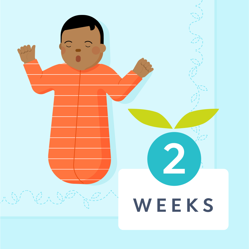 2 week sleep schedule