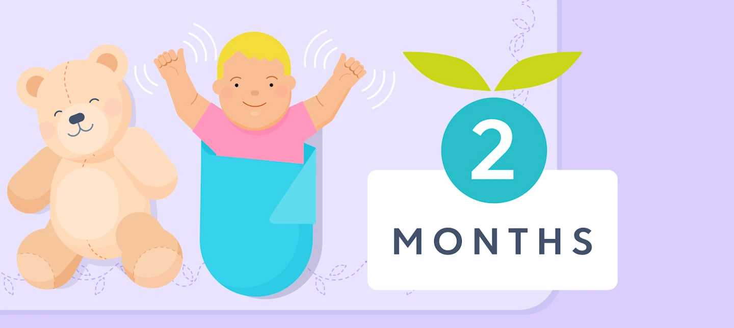 2 month old baby milestones illustrated image | Huckleberry