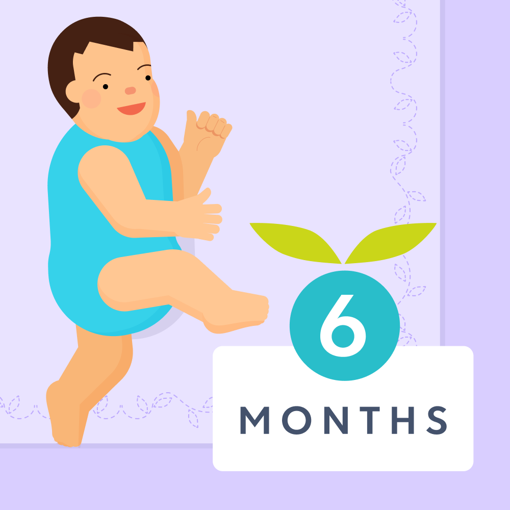 6 month old baby milestones illustrated image