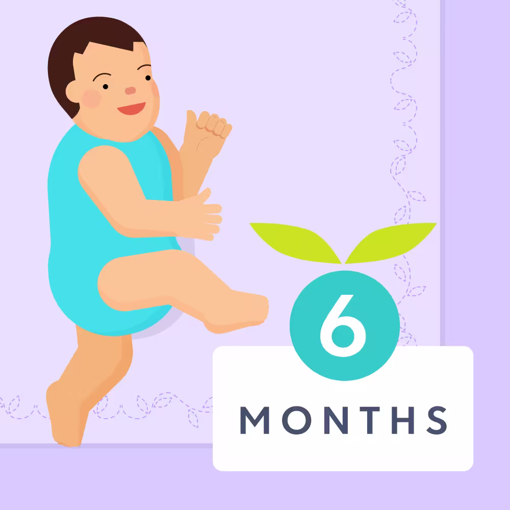 6 month old baby milestones illustrated image