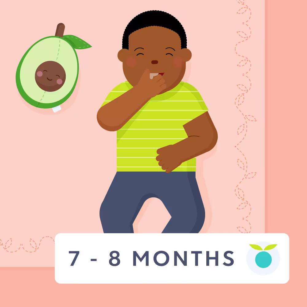 7 - 8 month old baby feeding schedule
