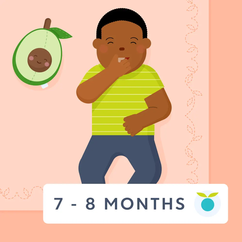 7 - 8 month old baby feeding schedule
