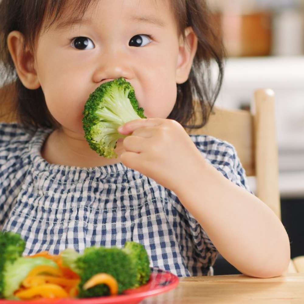 A baby eating broccoli. 