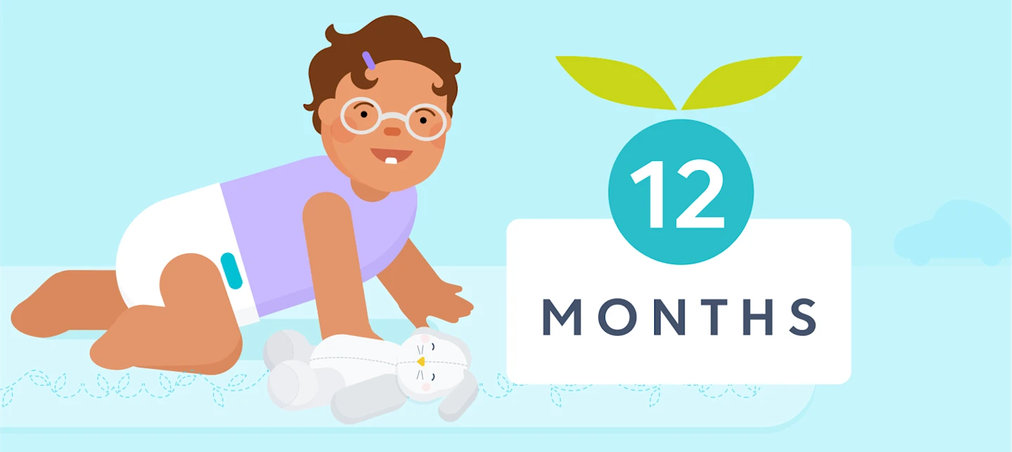 12 month sleep | Huckleberry