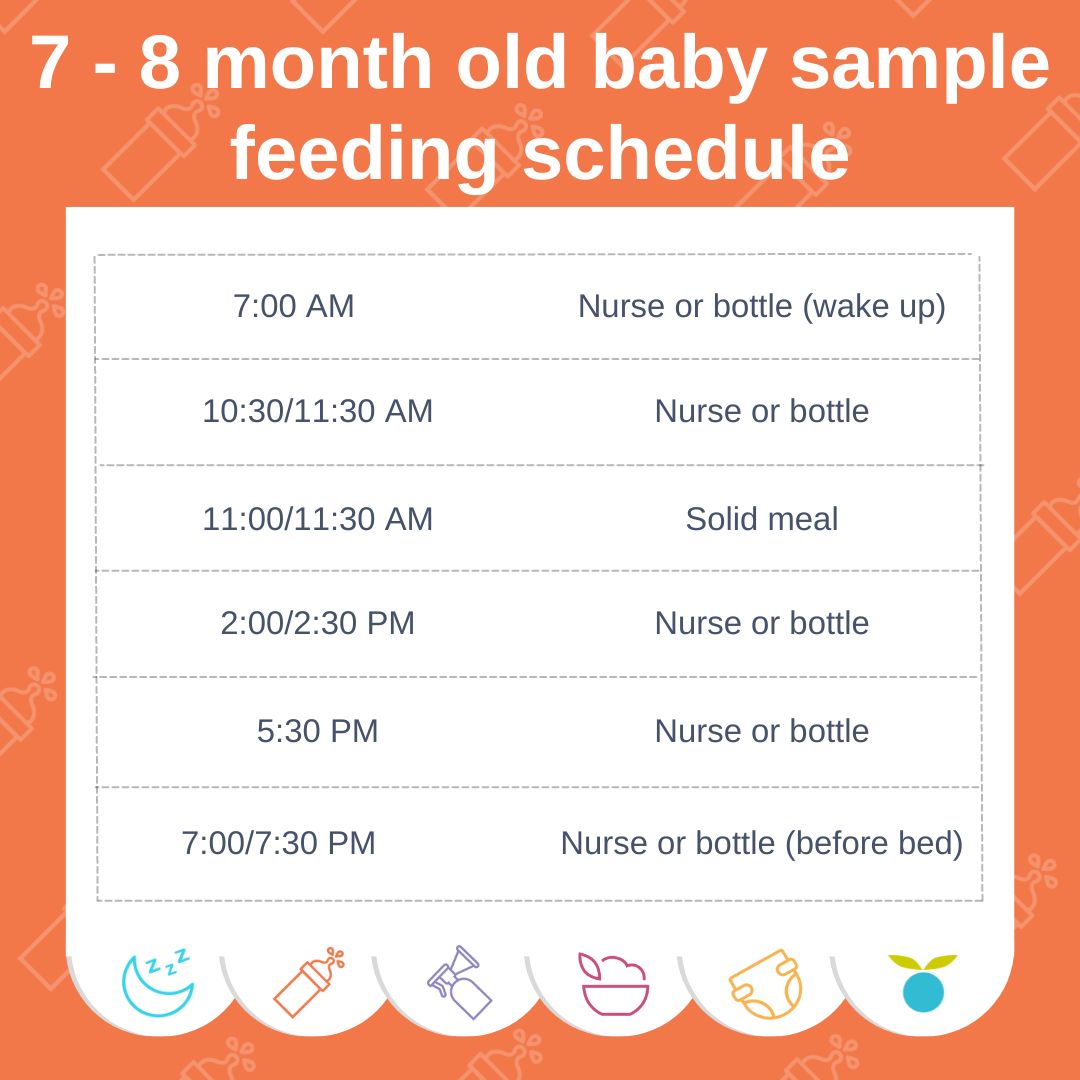 7 - 8 month old baby feeding schedule: Amounts, food chart, formula ...