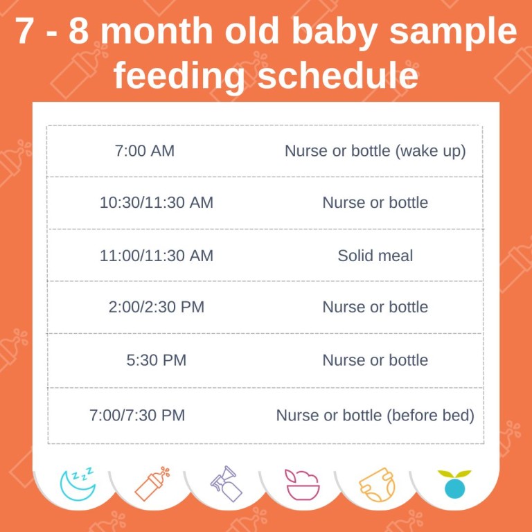 7-Month-Old Feeding Schedule: Baby Menu
