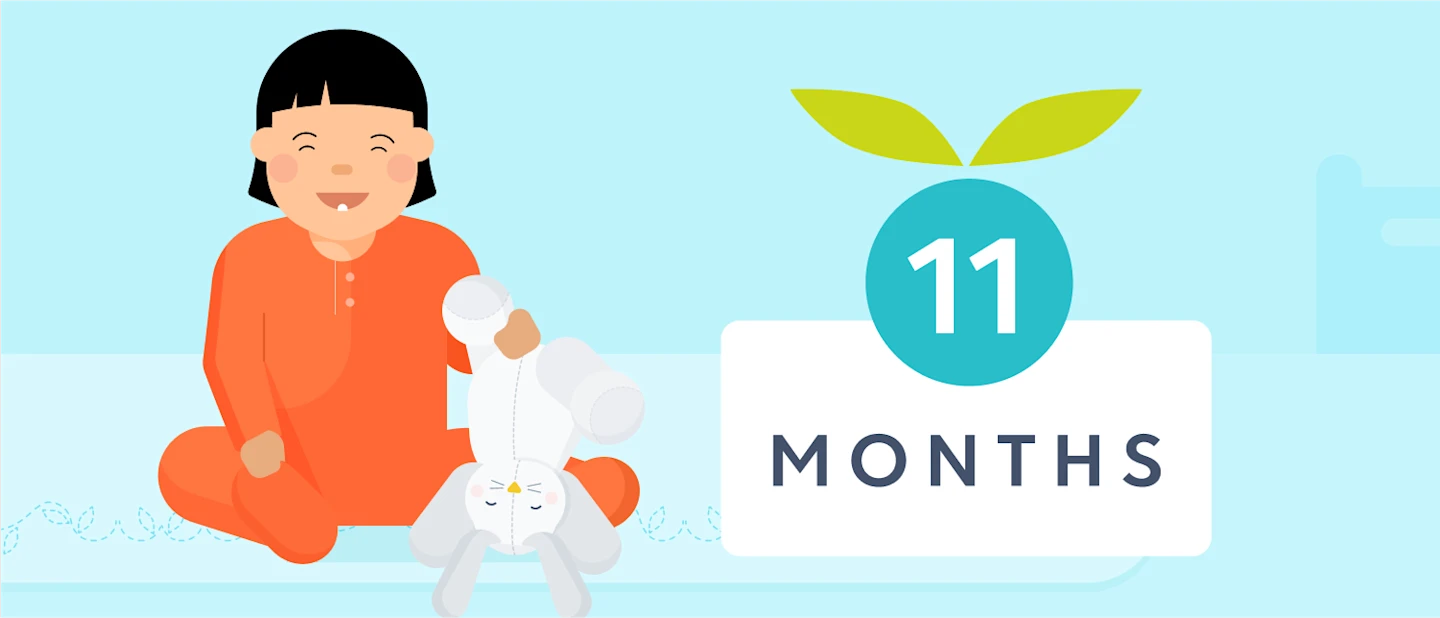 11 month sleep | Huckleberry