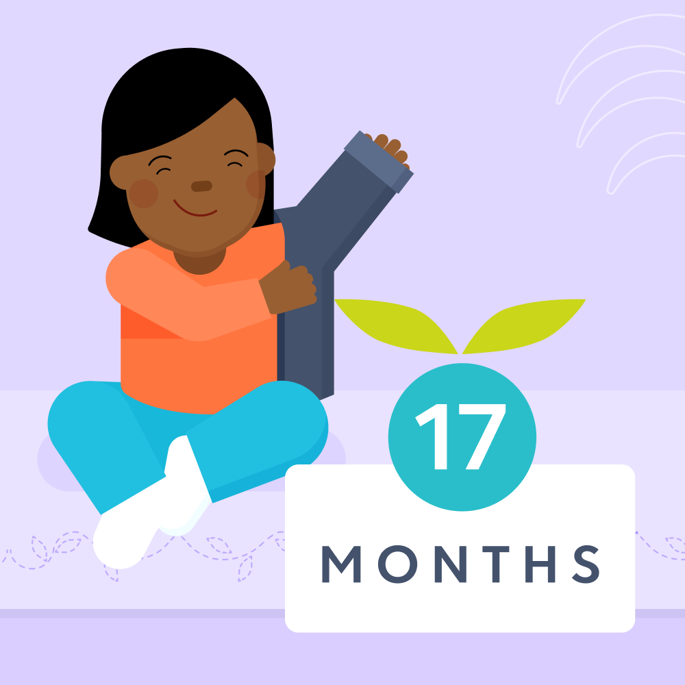 17 month old toddler milestones illustrated image