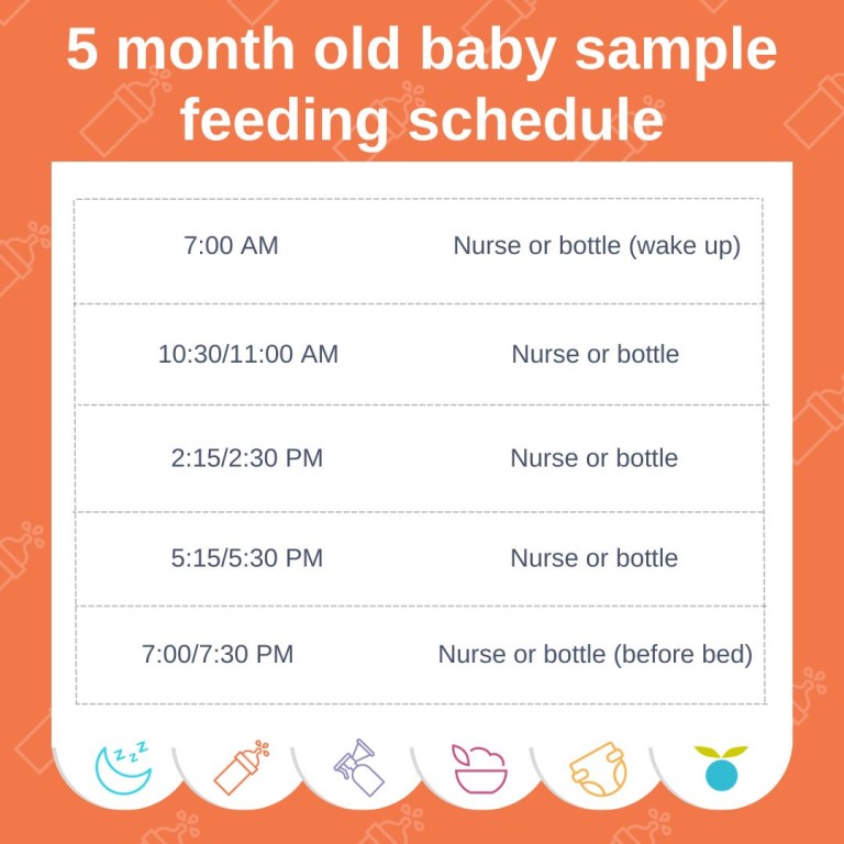 3 Examples of a 1 Year Old Feeding Schedule - Milk Drunk