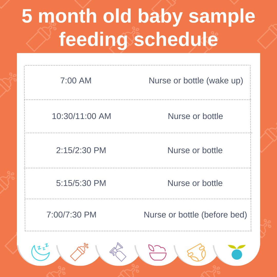 A graphic of a 5 month old baby sample feeding schedule.