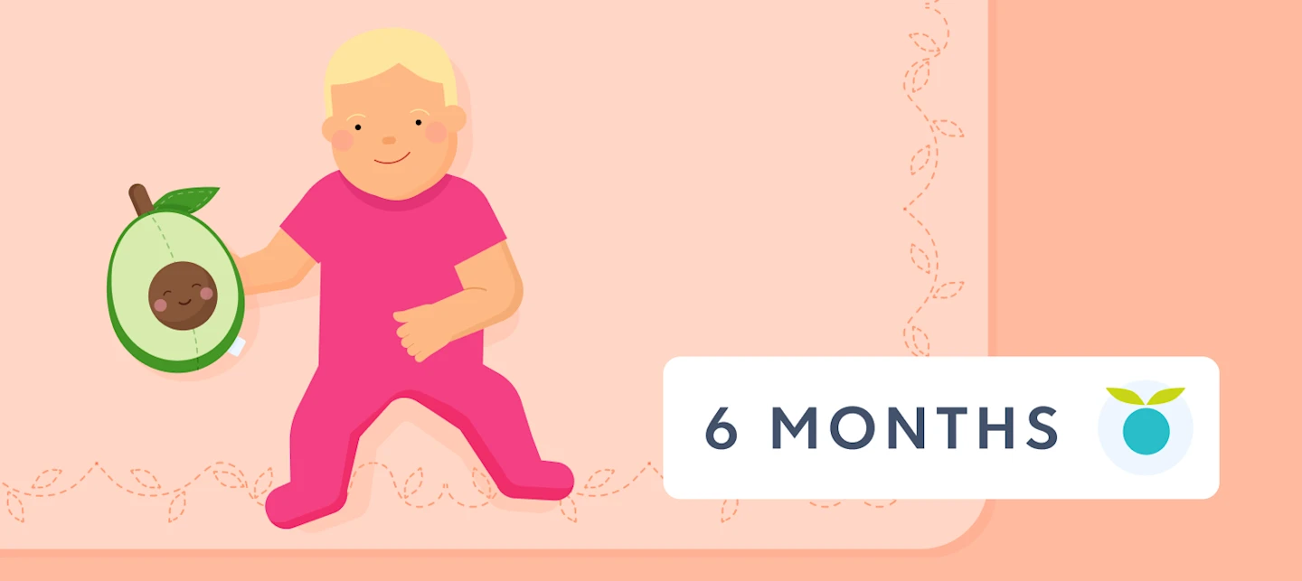 6 month old feeding schedule | Huckleberry
