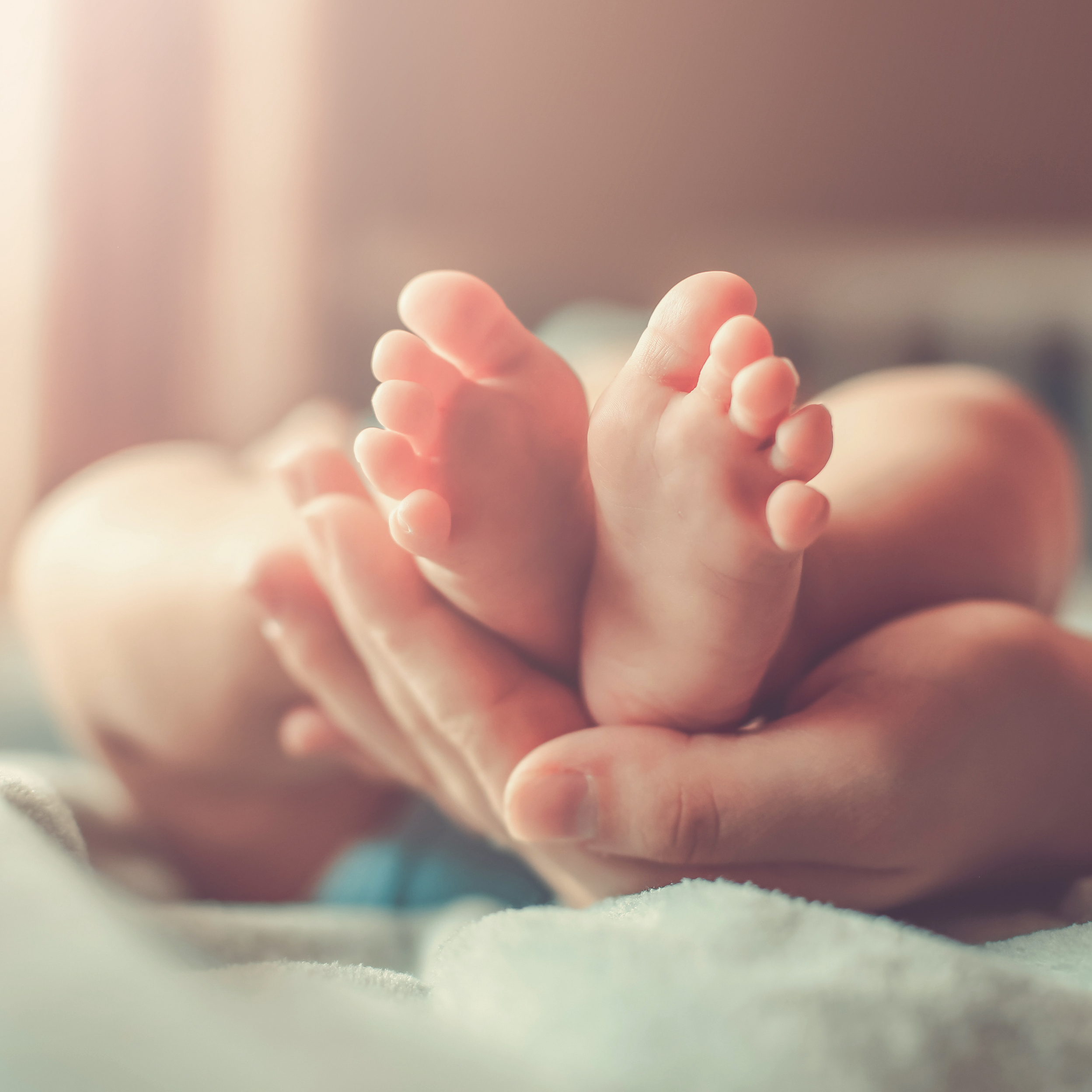 Adult hands holding baby feet in crib
